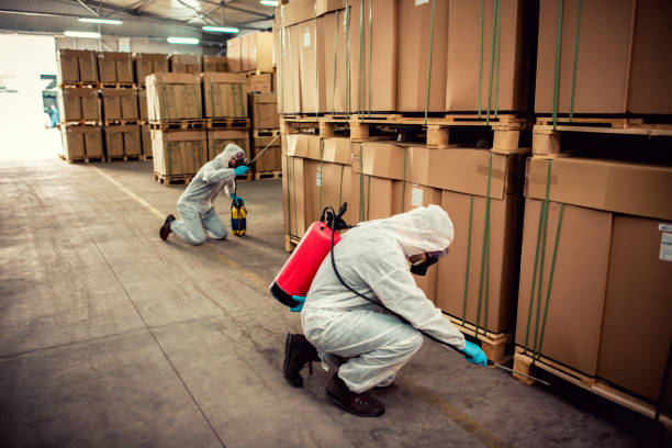 Best Termite Control Services  in Rkville, PA