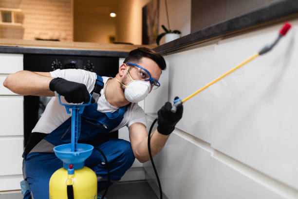 Best Ant Control Services  in Rkville, PA