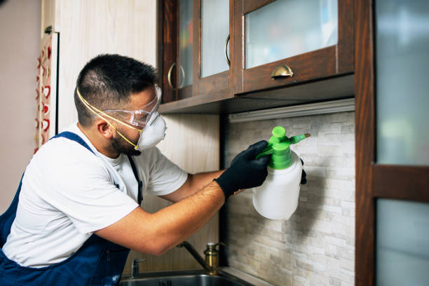 Best Exterminator Services  in Rkville, PA