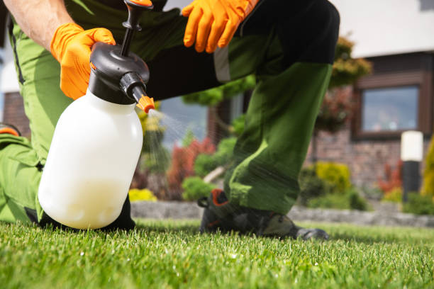 Best Best Pest Control Companies  in Rkville, PA
