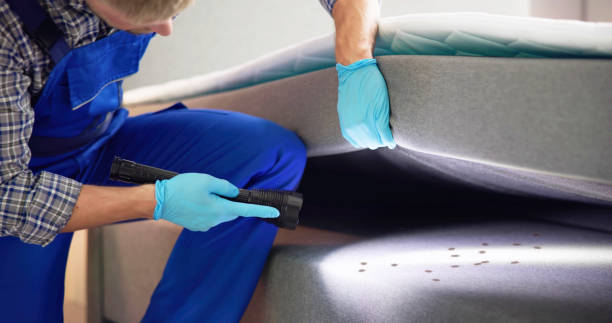 Flea Control Services in Parkville, PA