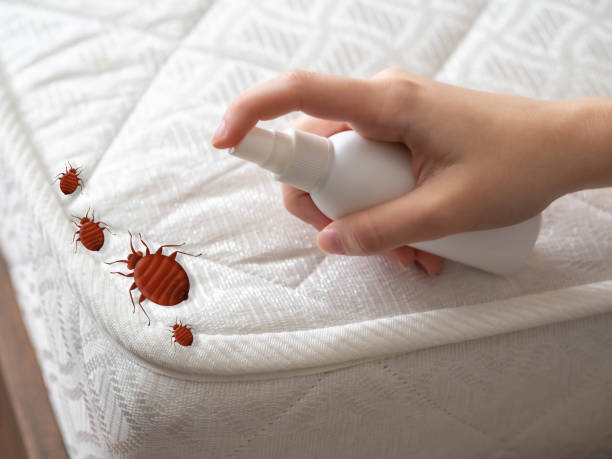 Pest Prevention Services in Parkville, PA