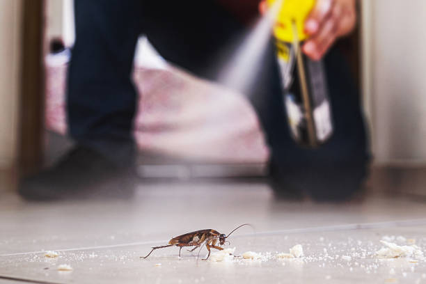 Pest Control Cost in Parkville, PA